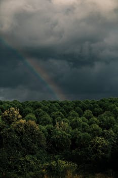Moody forest landscape under dark clouds with a subtle rainbow arching through the sky.