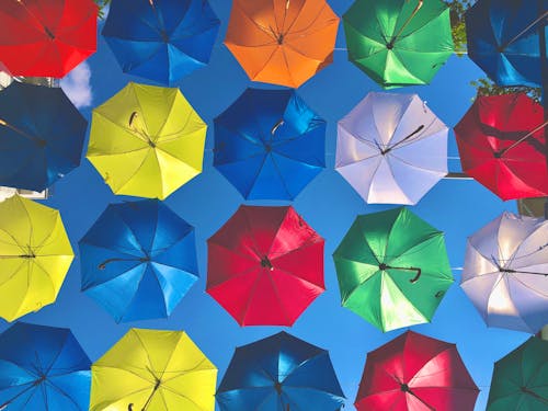 A Array of Various Umbrellas Hanging Under Trees