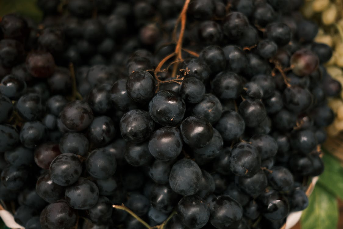 Foto d'estoc gratuïta de antioxidant, fruites, grapat