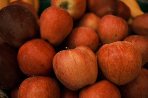 Red Apples in Close Up Photography