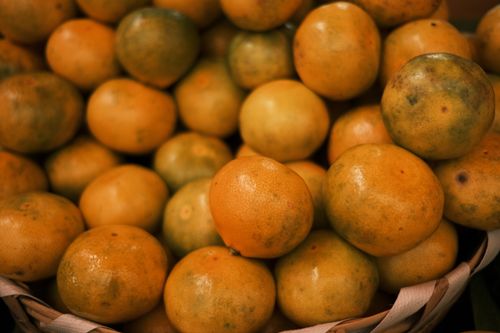Free Close-up of fresh oranges in a basket, showcasing their abundance and vibrant color. Stock Photo