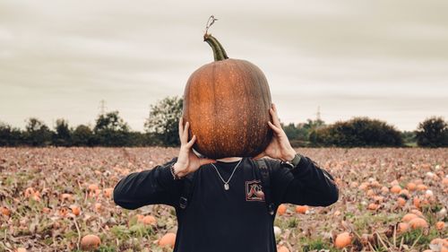 Free Humorous scene of a person with a pumpkin on their head in a pumpkin field during autumn. Stock Photo