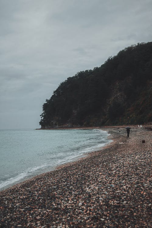 A Person Walking on the Shore