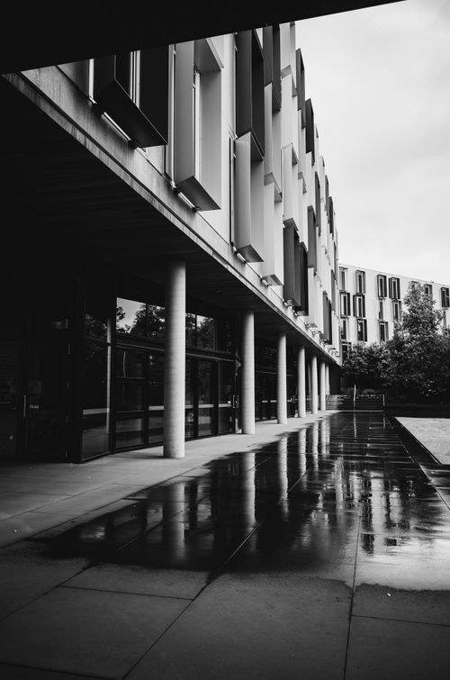 Free Black and white photo of modern architecture with columns and reflective wet pavement. Stock Photo