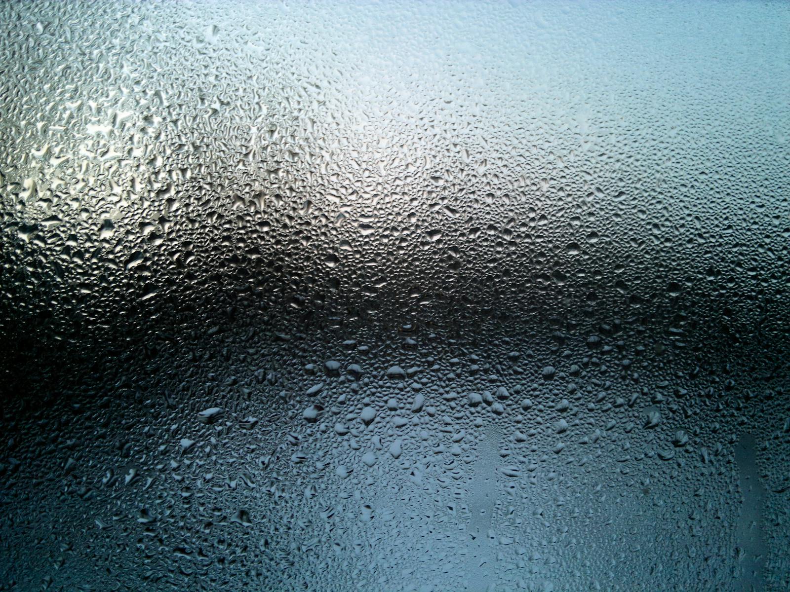 Concerned about Condensation on Windows? - Tips from your local Langley Real Estate Specialists