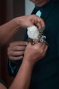 Free stock photo of adult, boda, bride