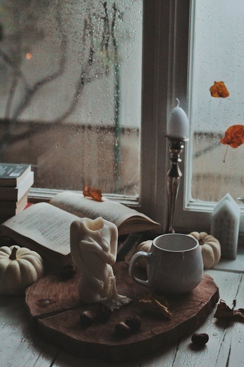 Free Book, Candle, Mug, Sculpture and Chestnuts by Window Stock Photo