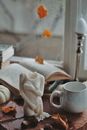 Mug, White Sculpture and Book by Window