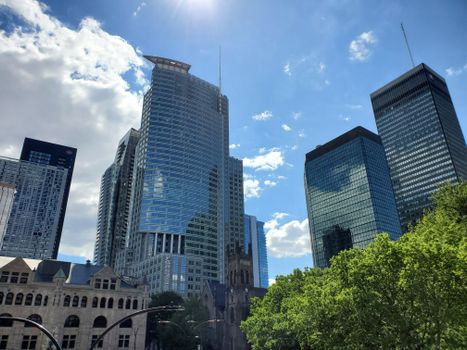 A striking view of Montreal's skyscrapers on a sunny day with clear blue skies and lush greenery.