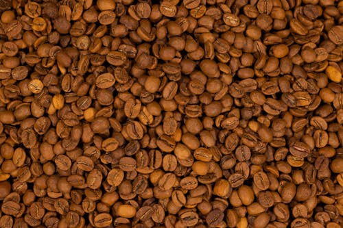 Fotos de stock gratuitas de abundancia, asado, granos de café