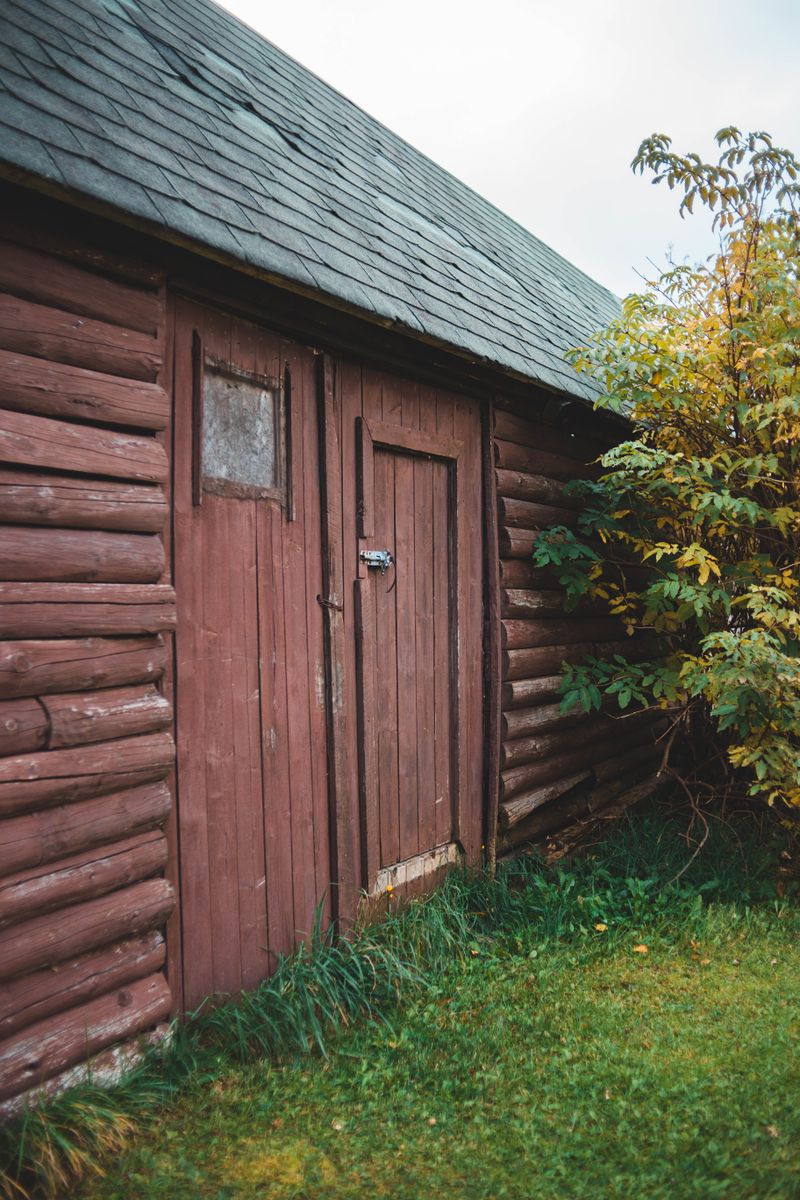 Abri de jardin en bois