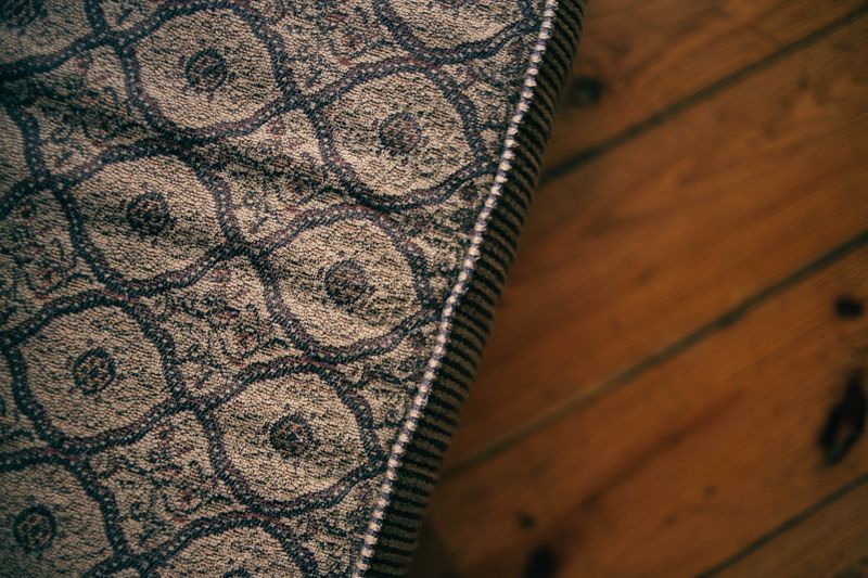 Carpet beetles vs. bed bugs: Identification clues