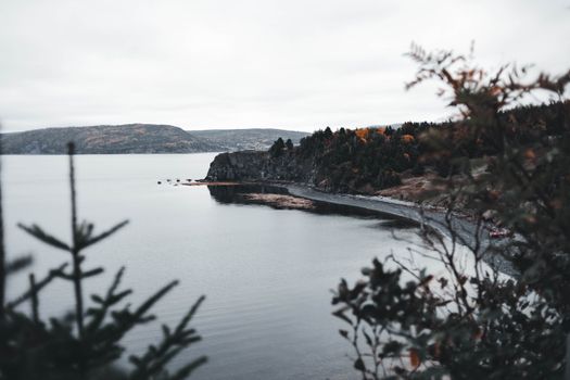 A tranquil view of a rocky shoreline and calm sea under an overcast sky, framed by lush foliage.