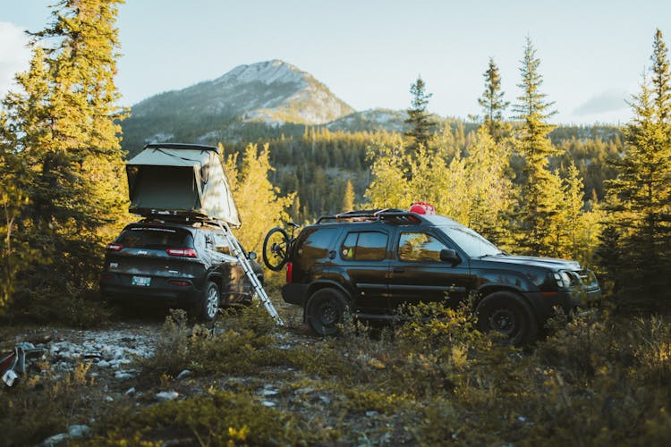 Vehicles Parked On Camp Site