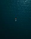Drone Shot of Boats on the Sea