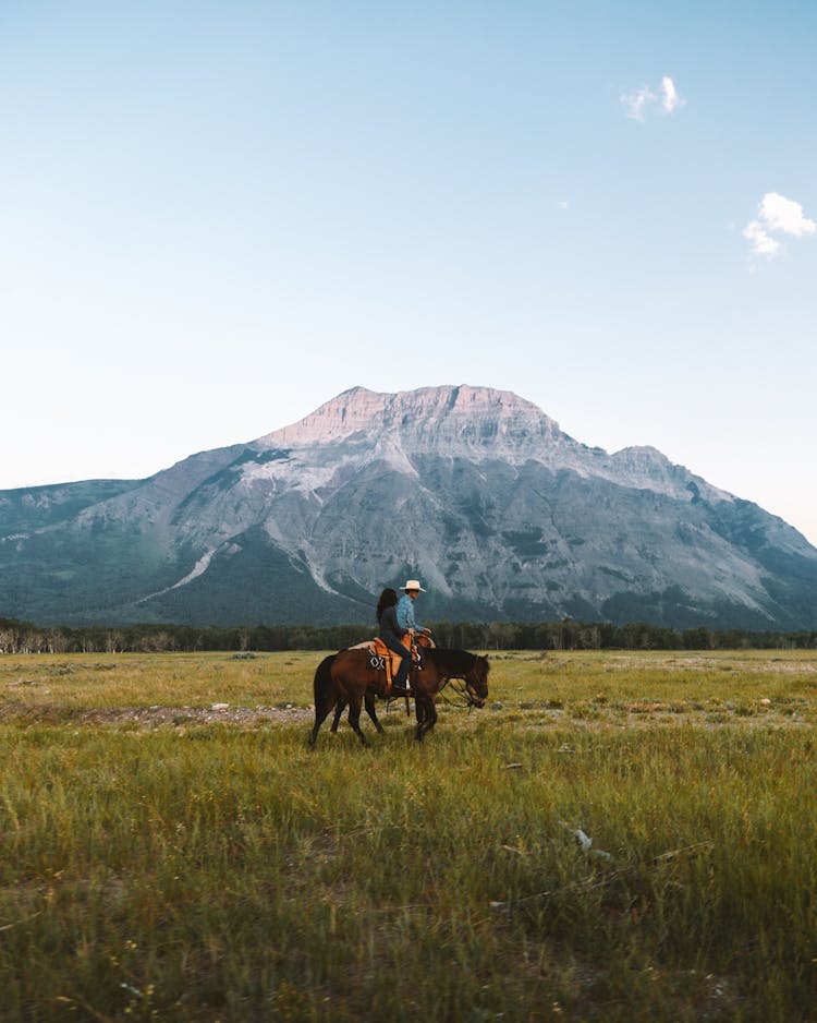 Two People Riding Horses On Meadow