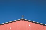 Red and Blue Building Under Blue Sky