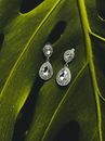 Silver Diamond Studded Ring on Green Leaf