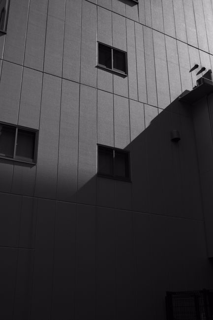 Shadow play on a black and white urban building facade creating a moody atmosphere.