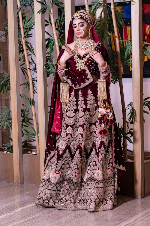 Photo of a Woman in a Sari Dress Wearing Jewelry