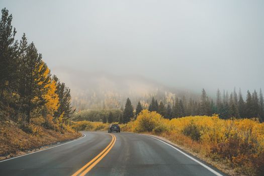 A serene drive on a foggy road through a forest with vibrant autumn leaves and overcast sky.