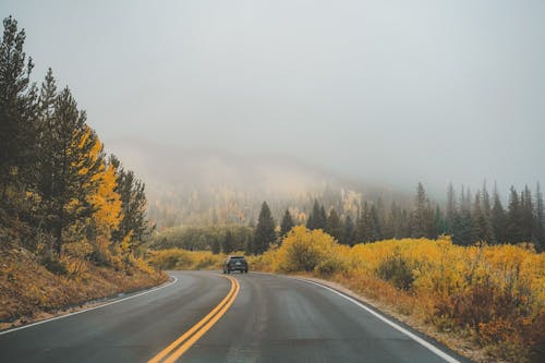 How to Road-Trip Safely During Late Fall Fog Season