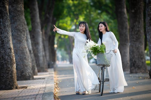 Gratis lagerfoto af blomst, cykel, fortov