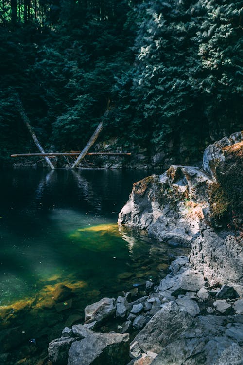 Calm Body of Water