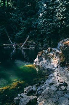 不列颠哥伦比亚省的森林湖泊宁静宜人，茂密的树木环绕着海岸线