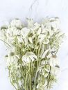 Bunch of Faded Flowers
