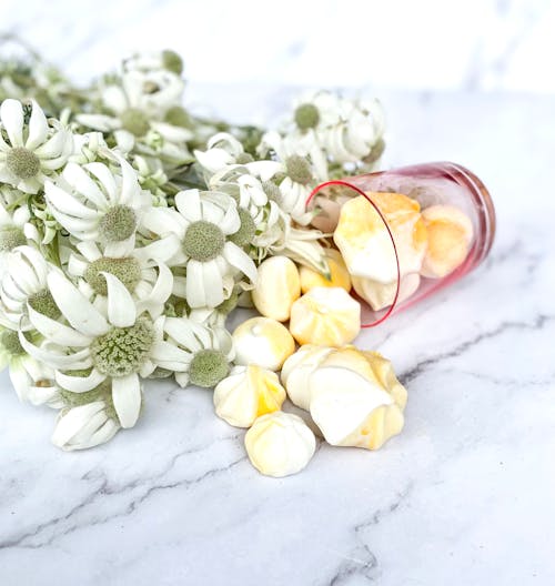 Free Bunch of Faded Flowers and Glass with Meringue Stock Photo