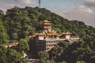 在一片茂密的森林中，坐落着一座优雅的亚洲寺庙，展示着建筑的美丽与宁静