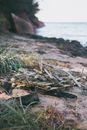 Hearth on Beach