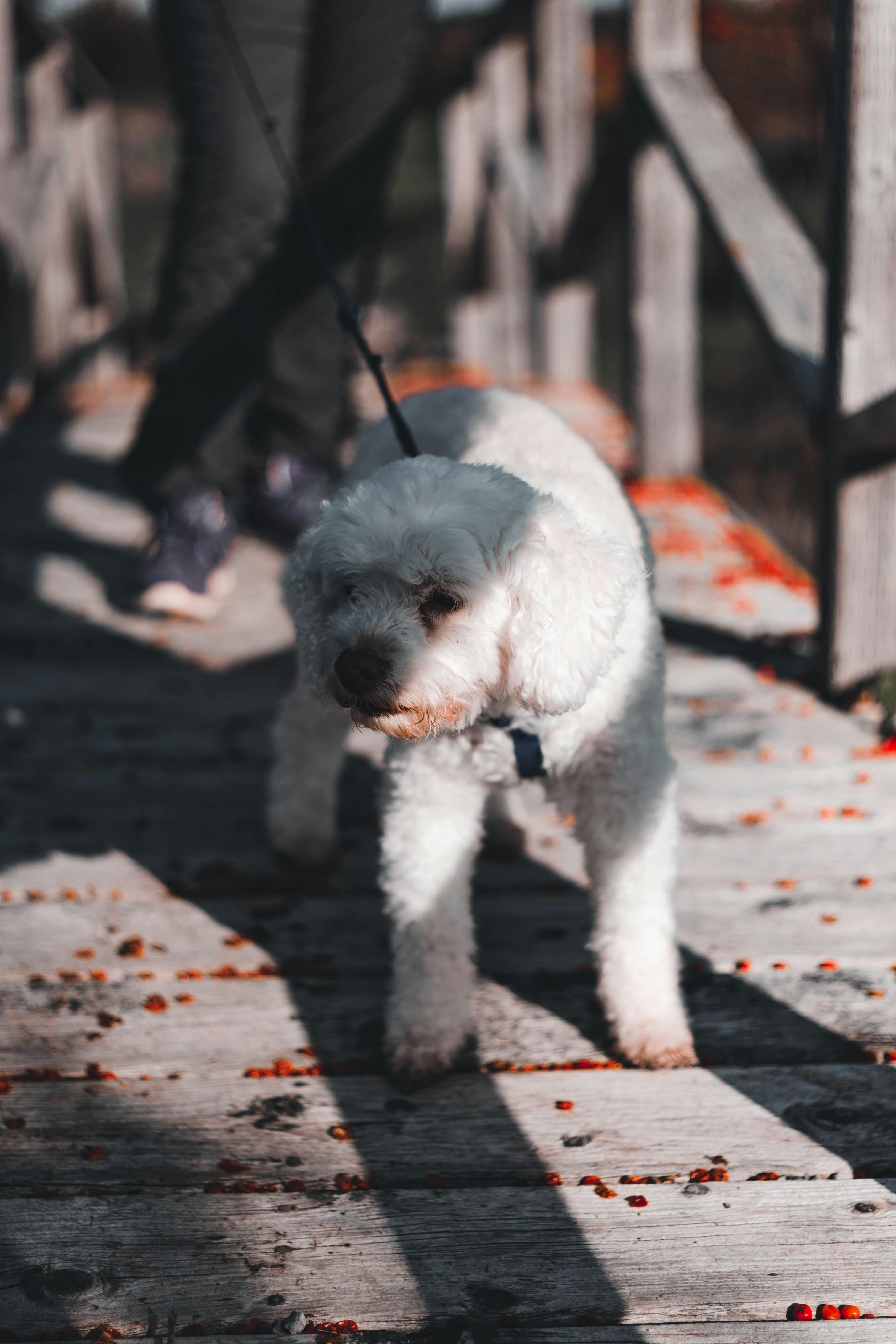 Photo by Erik Mclean