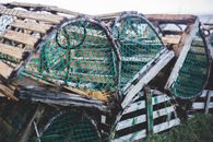 Free stock photo of abandoned, cage, dirty