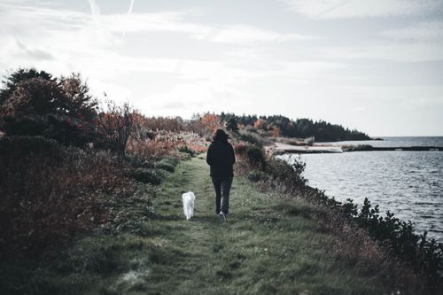 Free A serene walk along a scenic seashore path with a person and dog. Stock Photo