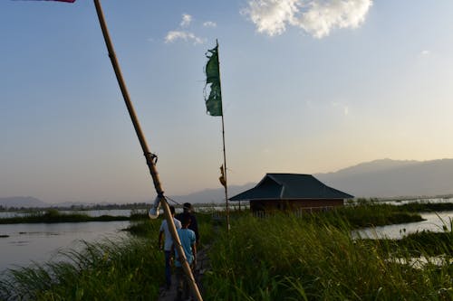 Free stock photo of floating lake, freshwater, india
