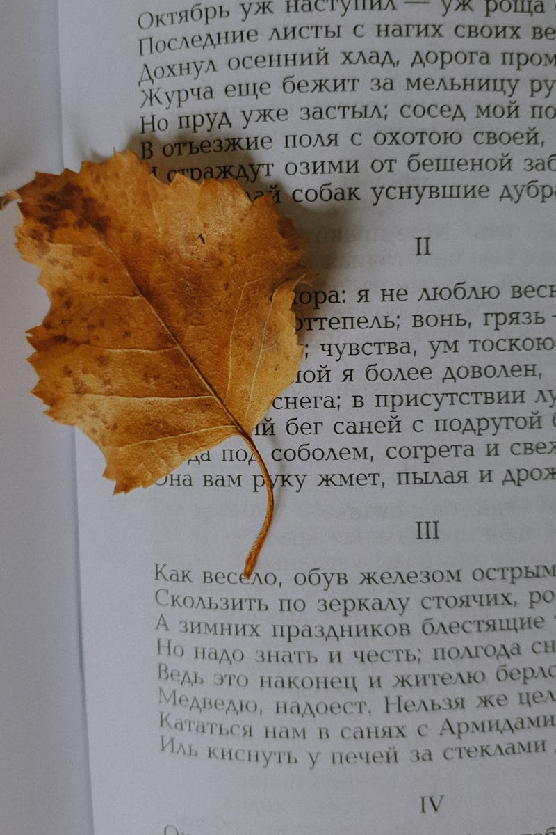 Learn Russian In Your Car - Book