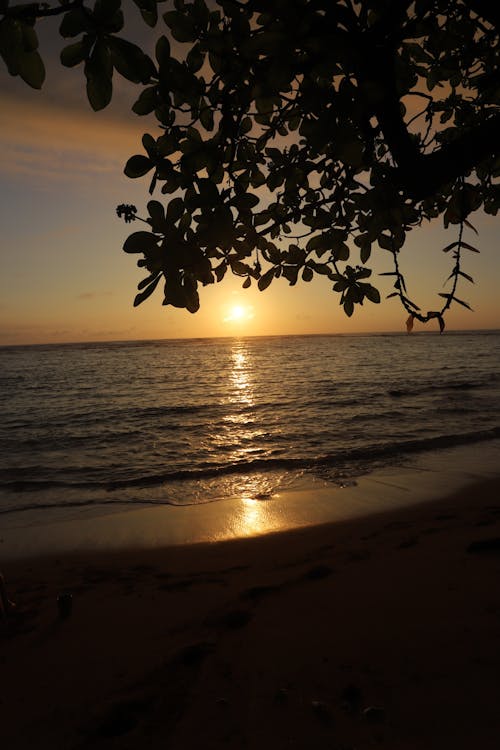 Gratis lagerfoto af kauai, solnedgang