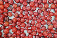 Plums on a White Surface