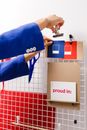 Hands of Woman Attaching Items to Bulletin Board