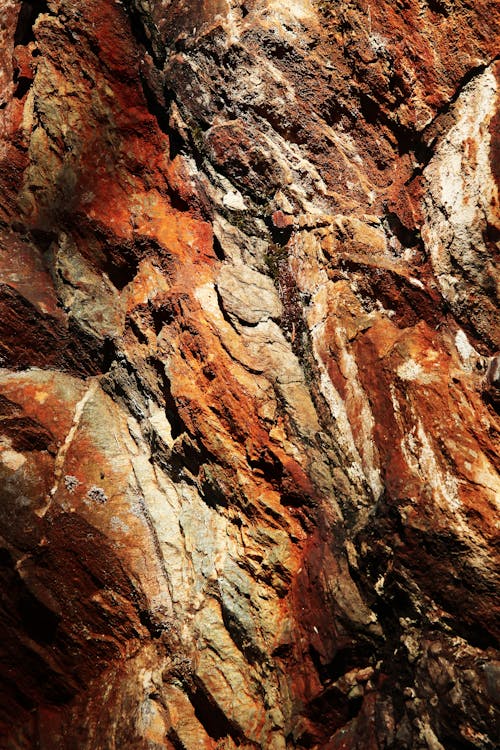 Бесплатное стоковое фото с геологическое образование, геология, скалистые горы