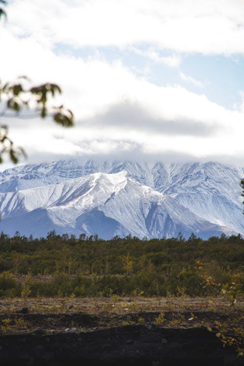 Rocky Mountains near Trees 