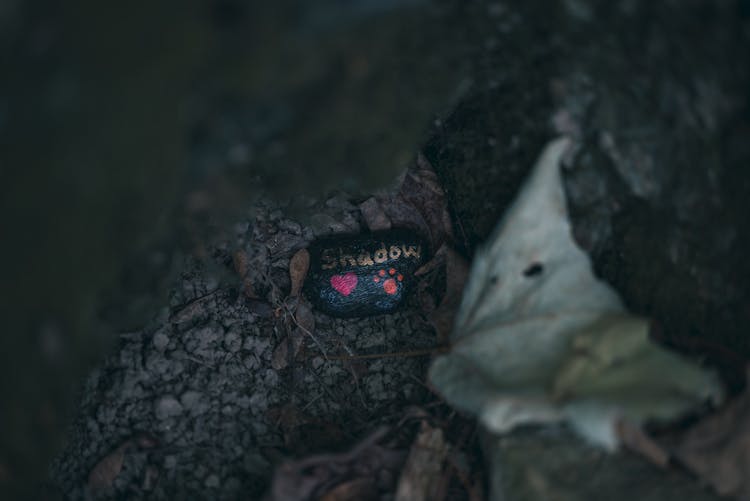 Painted Rock On The Ground 