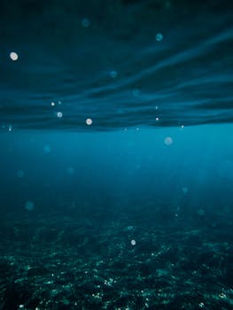 A tranquil underwater scene capturing the serene beauty of the ocean near Spain.