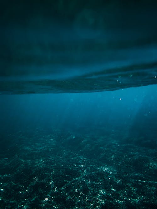 A Faint Light Cast on Seabed