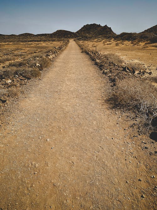 An Off Road Across the Wasteland