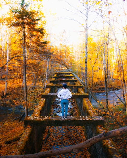 Person standing on a Canal Beam 