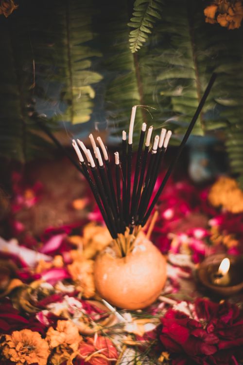 Free Close-up of incense sticks in an Indian festival floral setting. Stock Photo