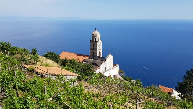 Stunning view of San Michele Church with lush vineyard and blue sea.